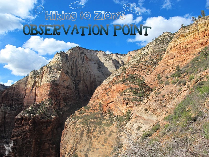 Zion National Park Observation Point Hike