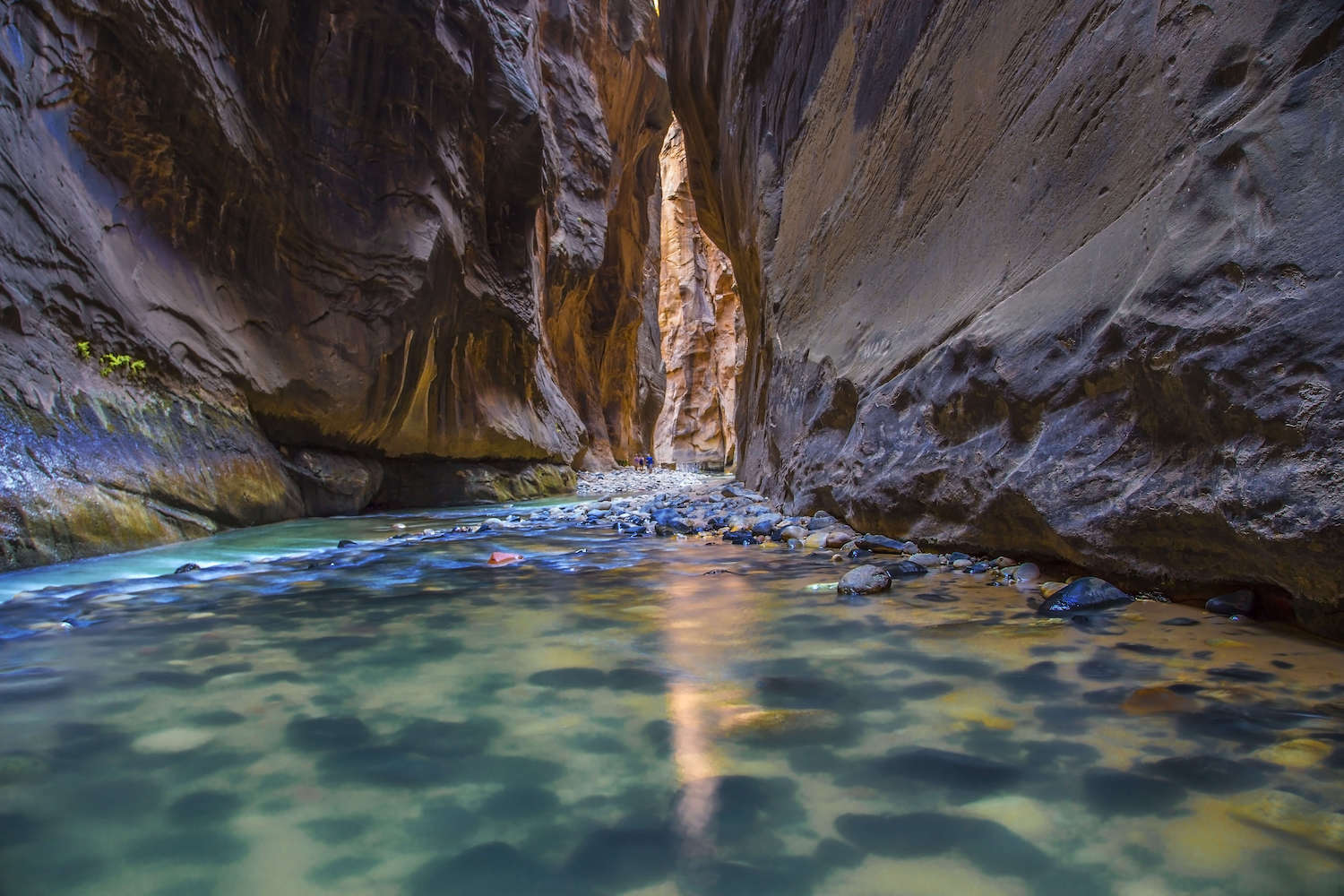 Hiking the Zion Narrows is one of the best adventures in Zion National Park. Learn how to get a permit, book a shuttle to the start & more.