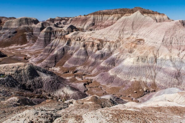 6 Best Petrified Forest National Park Hikes – Bearfoot Theory