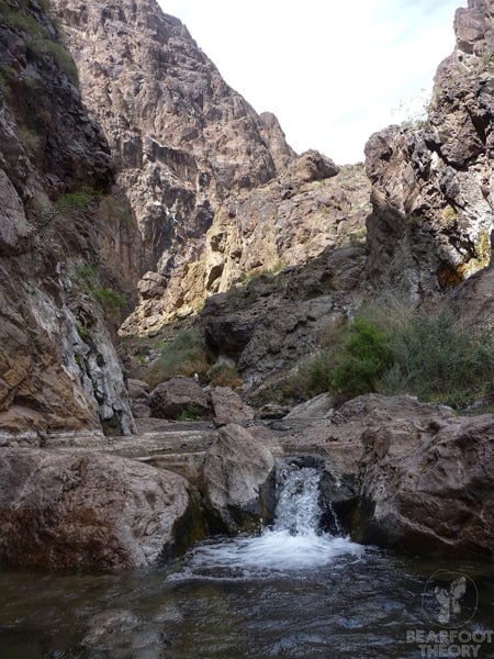 Small waterfall cascading into pool in Gold Strike Canyon in Nevada