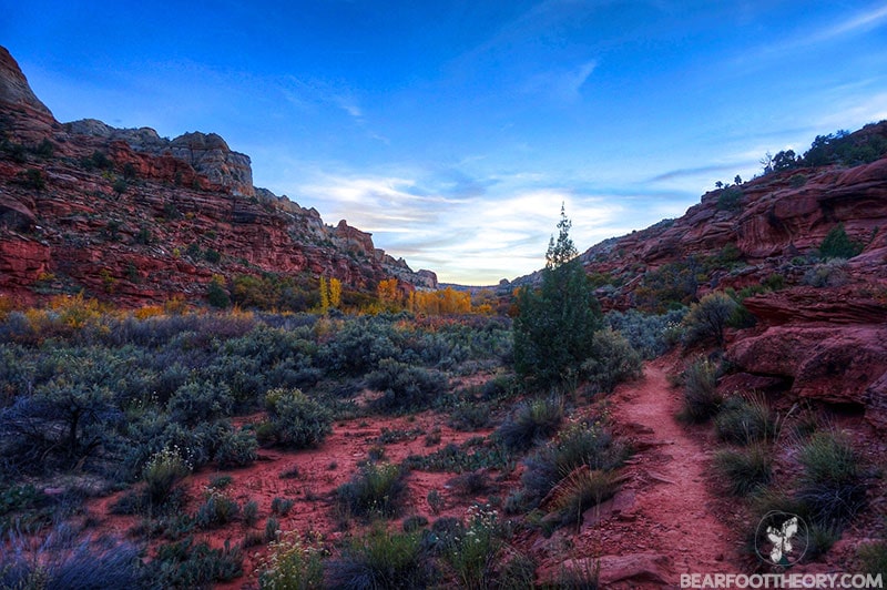 Calf-Creek-Falls-Hike