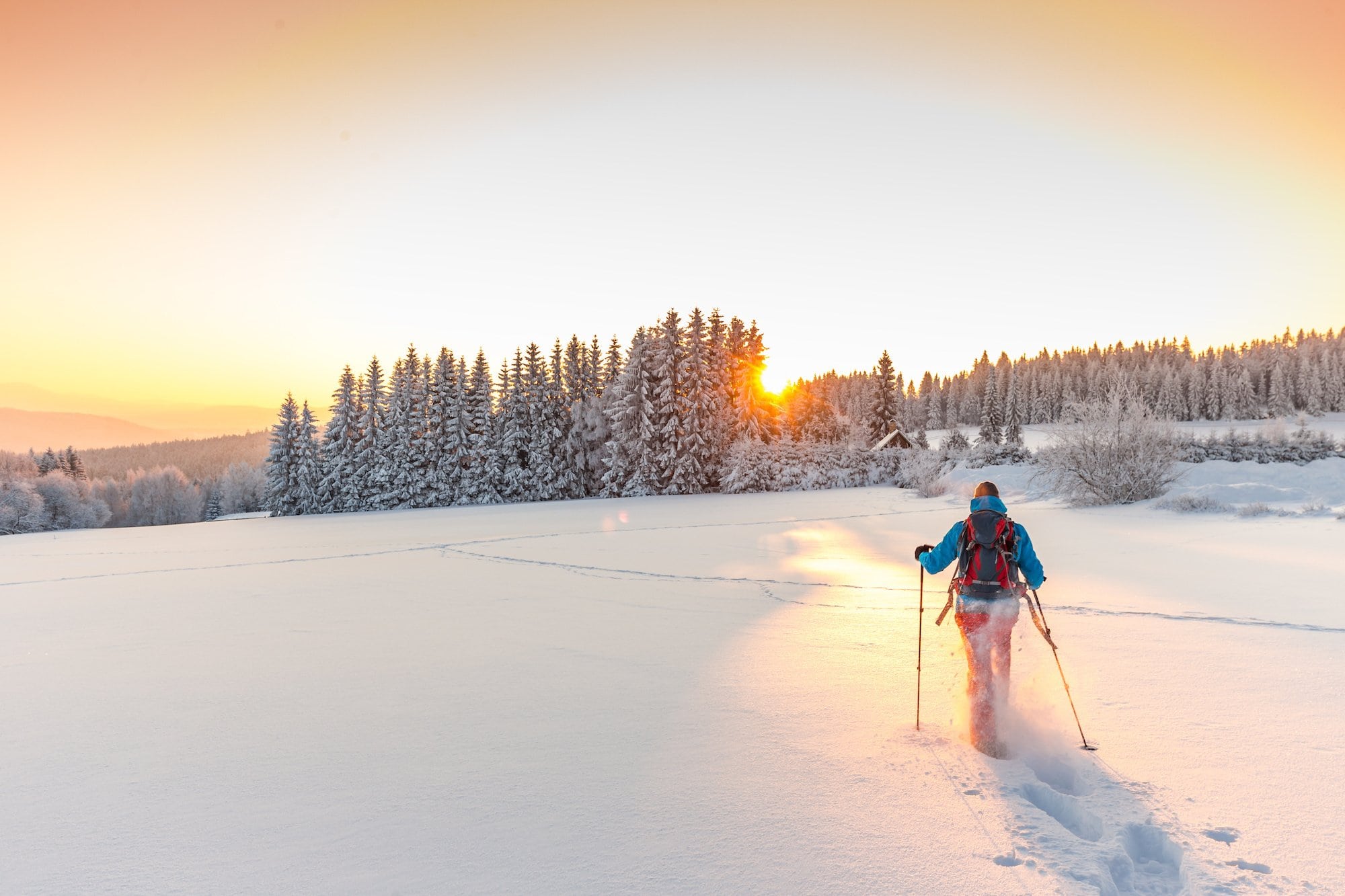 Planning a snowy vacation this winter? Here are 10 awesome places to go snowshoeing west of the Rockies.