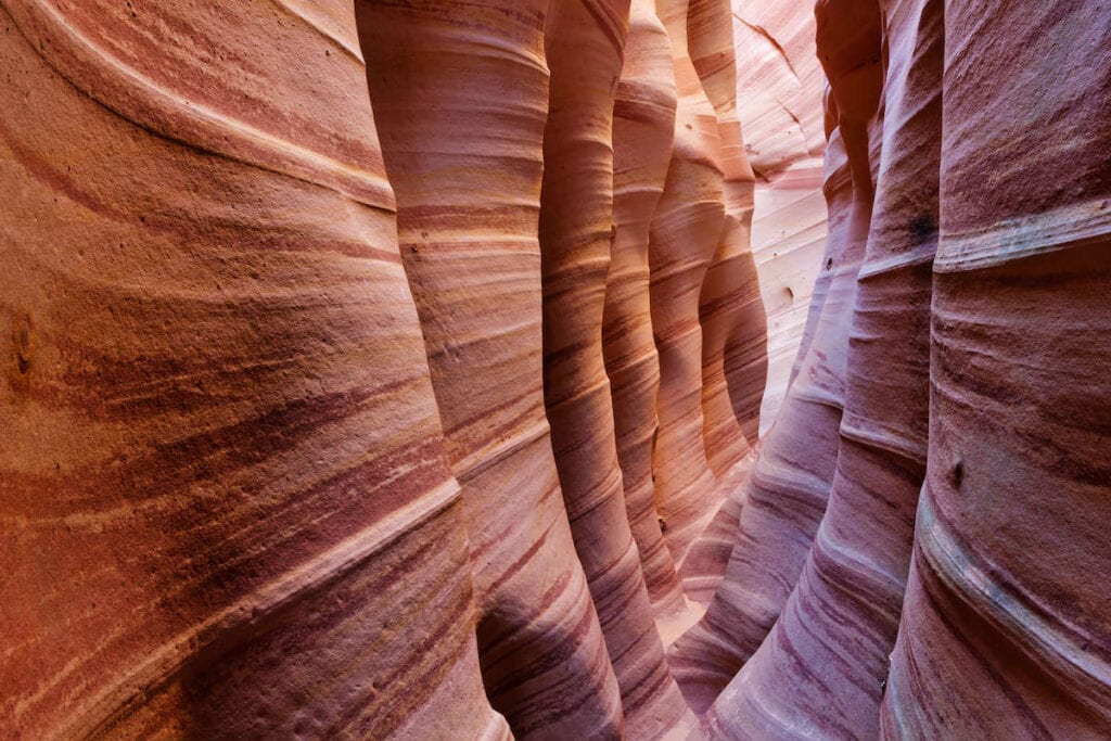 Zebra Slot Canyon // Discover the best Grand Staircase Escalante hikes with these epic hiking trails including waterfalls, slot canyons, views, and more.