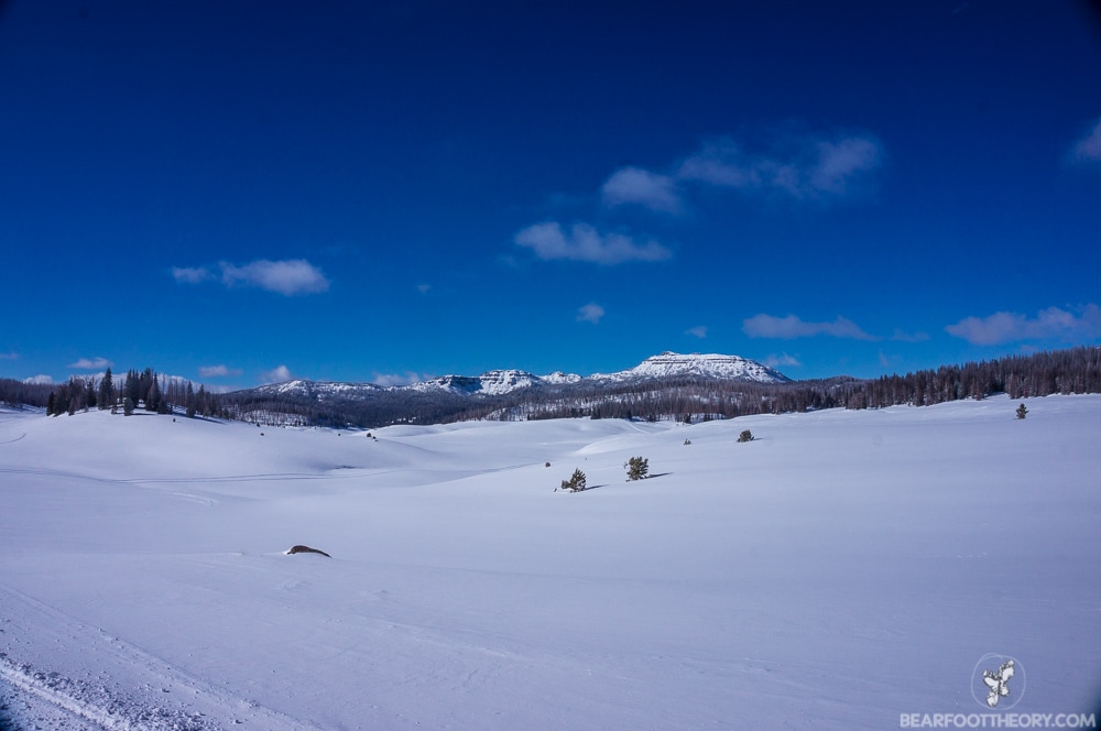 Togwotee Mountain Lodge along Wyoming's continental divide offers some of country's best #snowmobiling