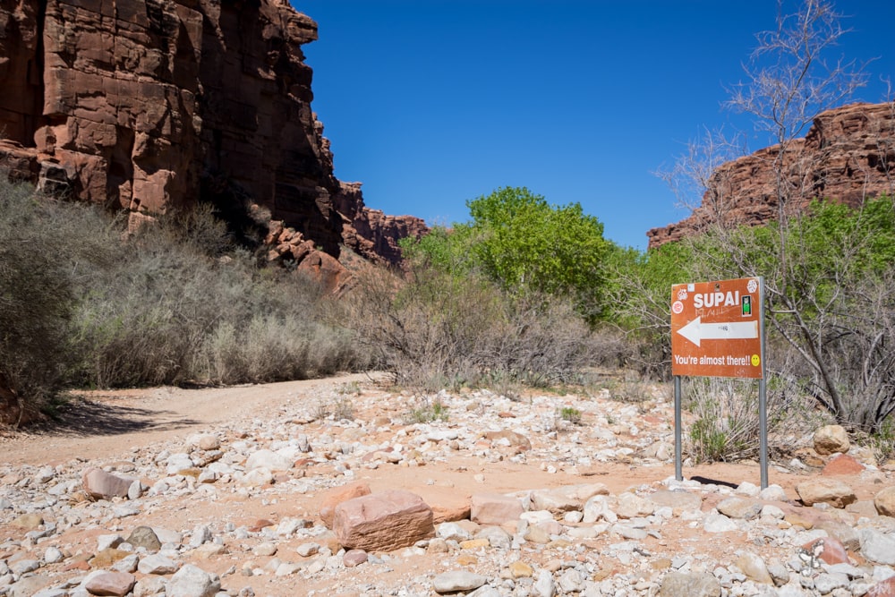 Havasu Falls Camping Guide // A complete travel guide to a one-of-a-kind Havasu Falls camping experience with everything you need to know about the trail, permits, campground, & gear.