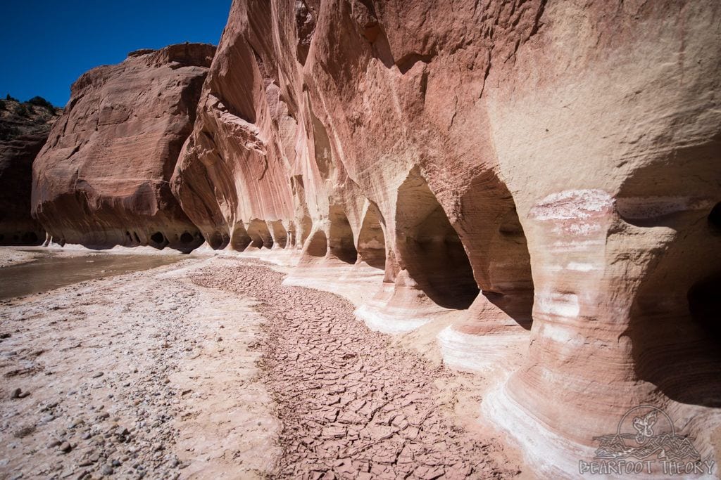 Paria canyon clearance permits