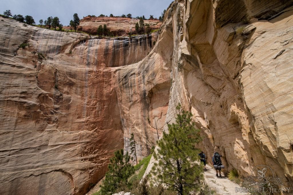 Plan your Zion West Rim Trail backpacking trip with this detailed guide that includes info on permits, campsites, gear, and more.