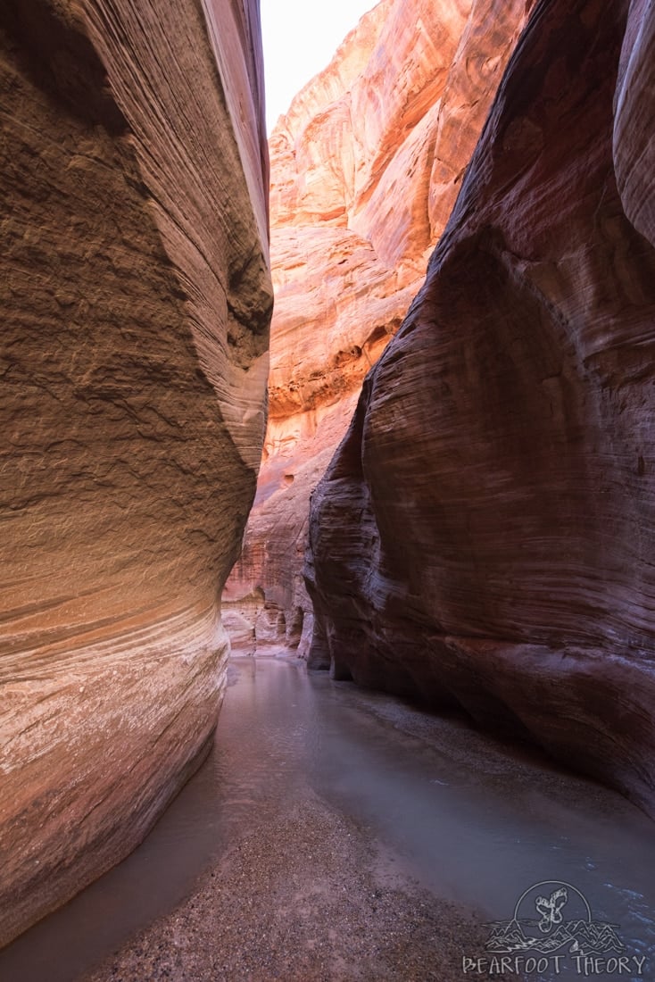 are dogs allowed in paria canyon