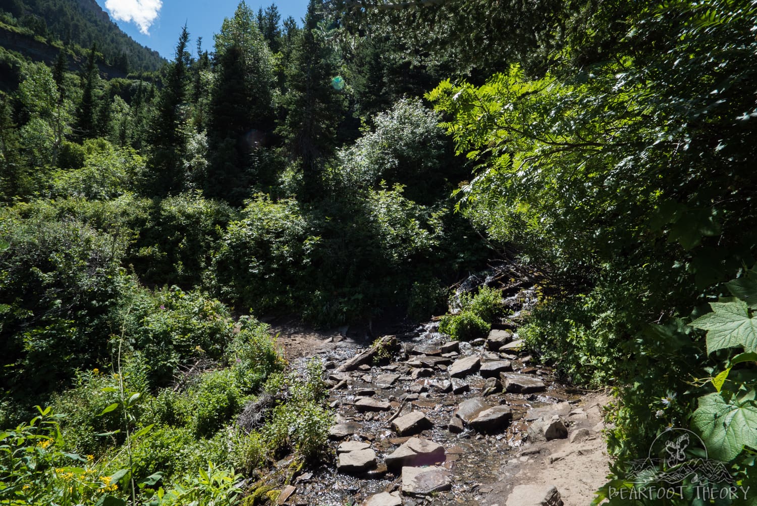 Timpooneke Trail crossing a shallow river surrounded by trees and foliage