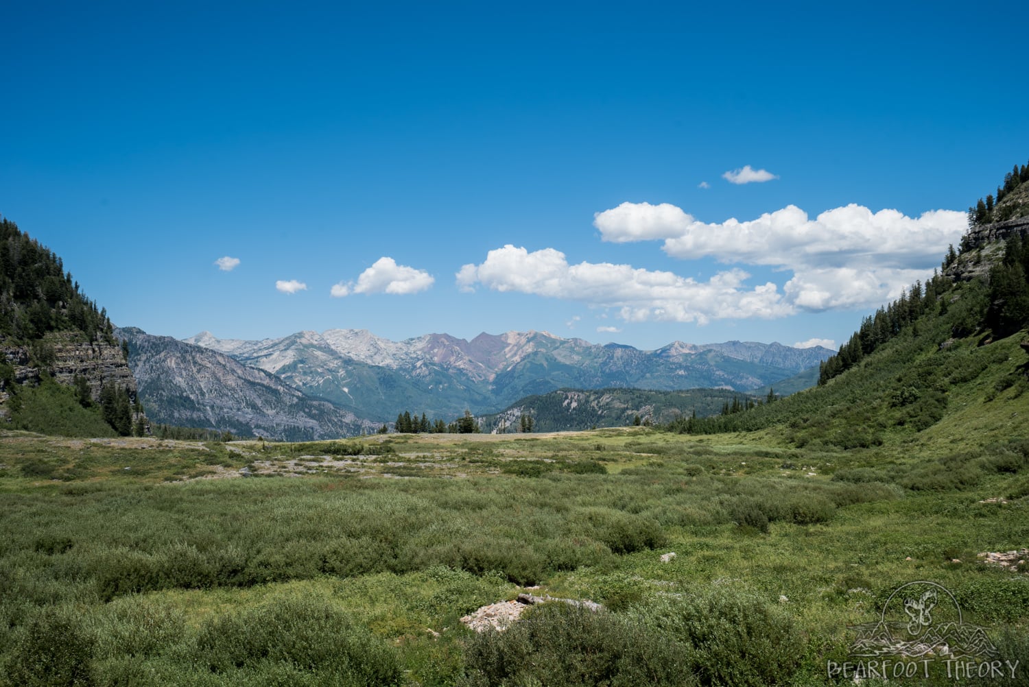 Lower Basin of the Timpooneke Trail in Utah with views of Wasatch mountain range