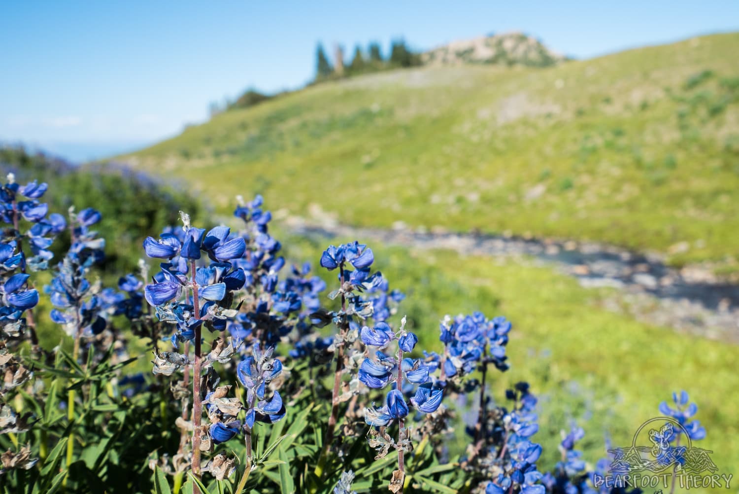 Hiking Mount Timpanogos: A Timpooneke Trail Guide for the second highest peak in Salt Lake City