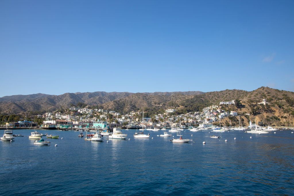 View from the ferry heading into the harbor on Catalina Island