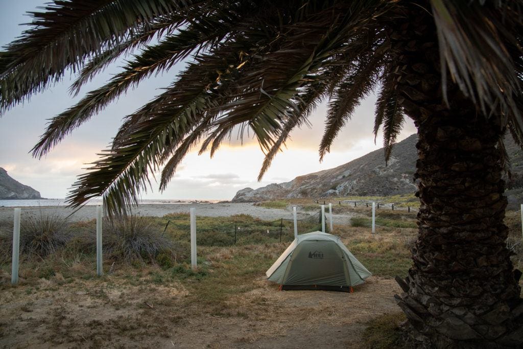 Tent set up under palm tree in Little Harbor on Catalina Island