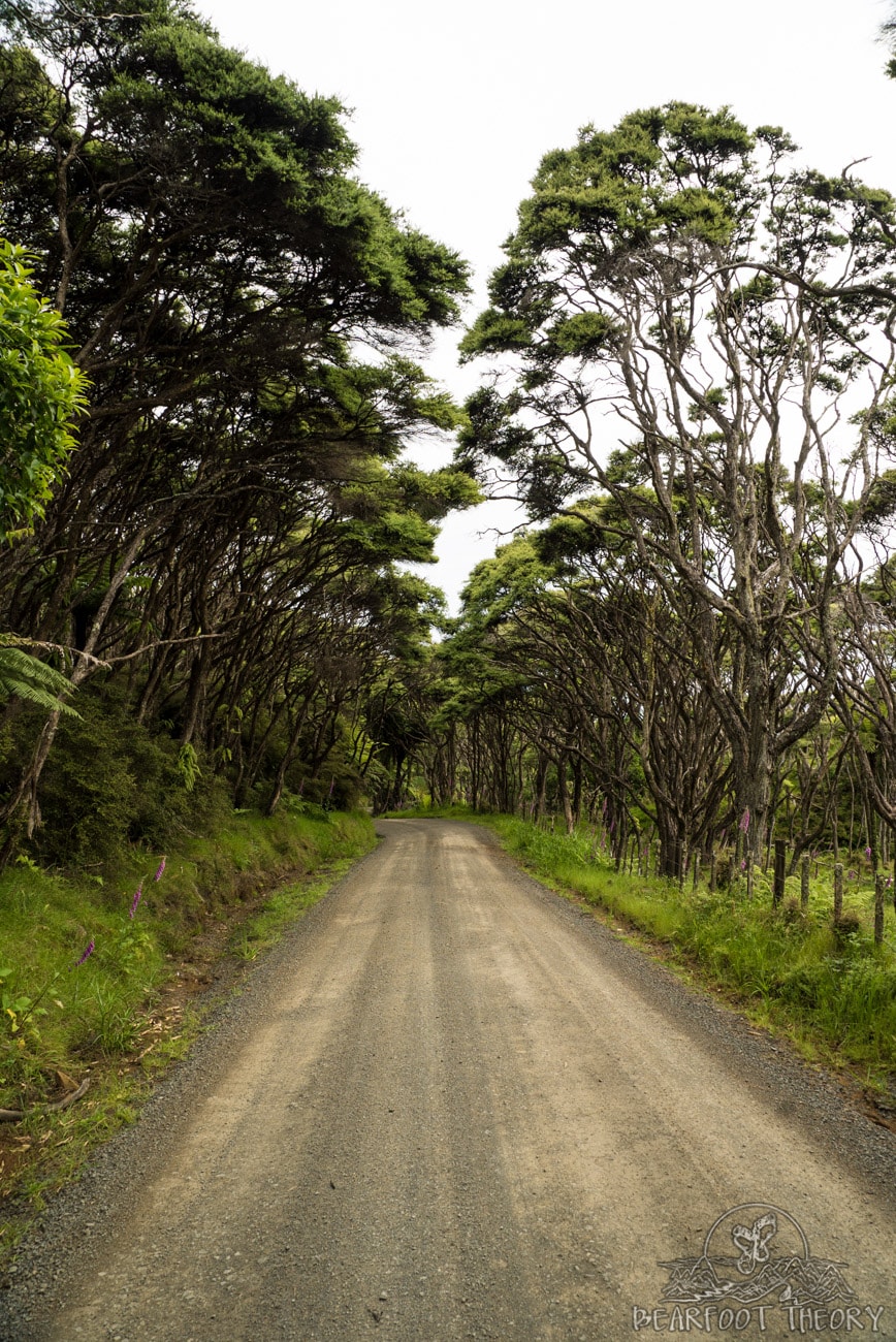 New Zealand Road Trip Itinerary: The road from Raglan to Ruapuke