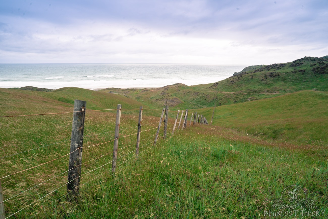 New Zealand Road Trip Itinerary: Hiking to Ruapuke Beach from Ruapuke Motor Park