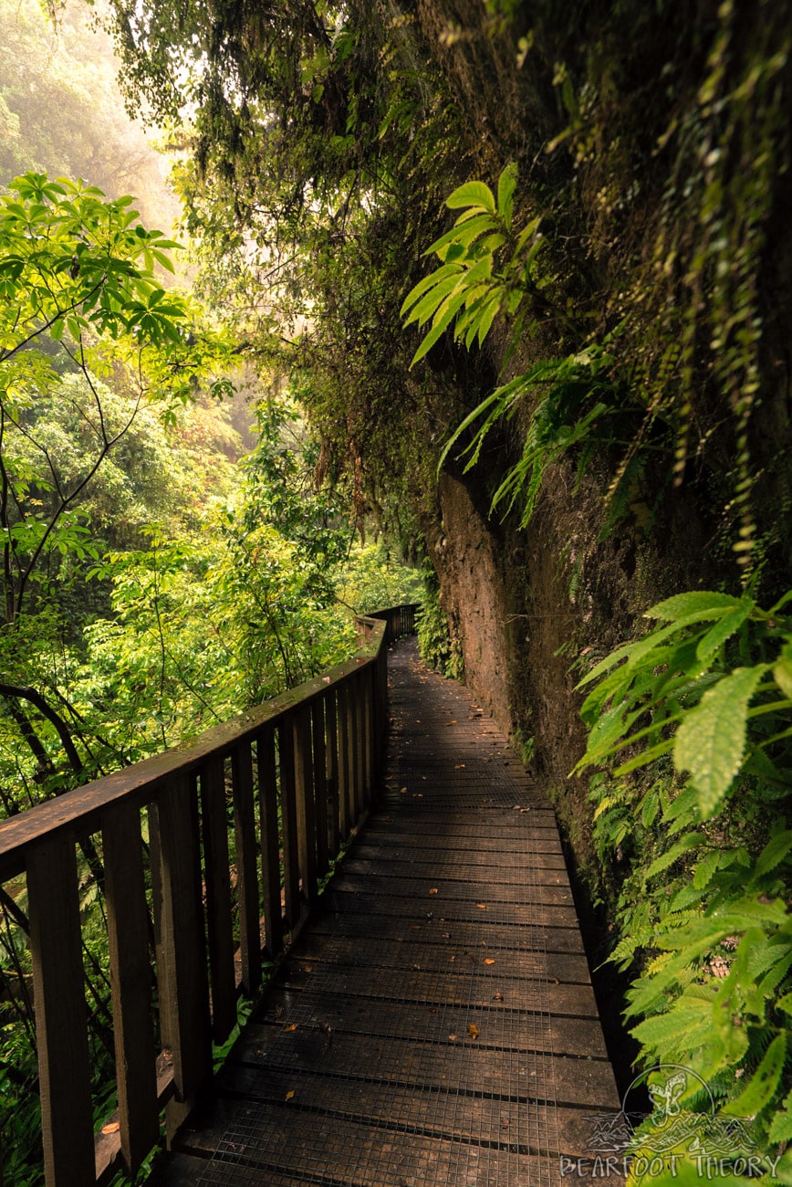 New Zealand Road Trip Itinerary: Mangapohue Natural Bridge