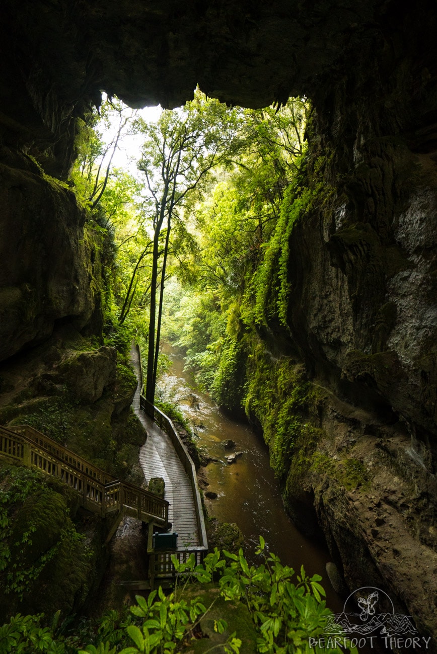 New Zealand Road Trip Itinerary: Mangapohue Natural Bridge