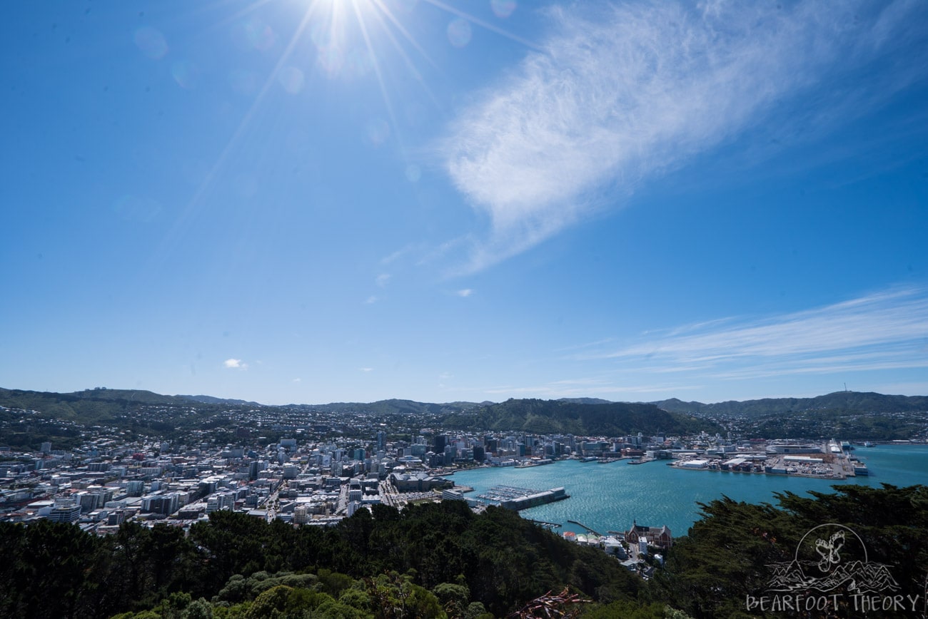 New Zealand Road Trip Itinerary: Mt. Victoria Lookout in Wellington