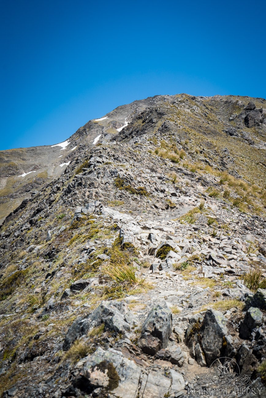 New Zealand Trip: Week 3 Highlights and Itinerary - hiking Avalanche Peak in Arthur's Pass National Park