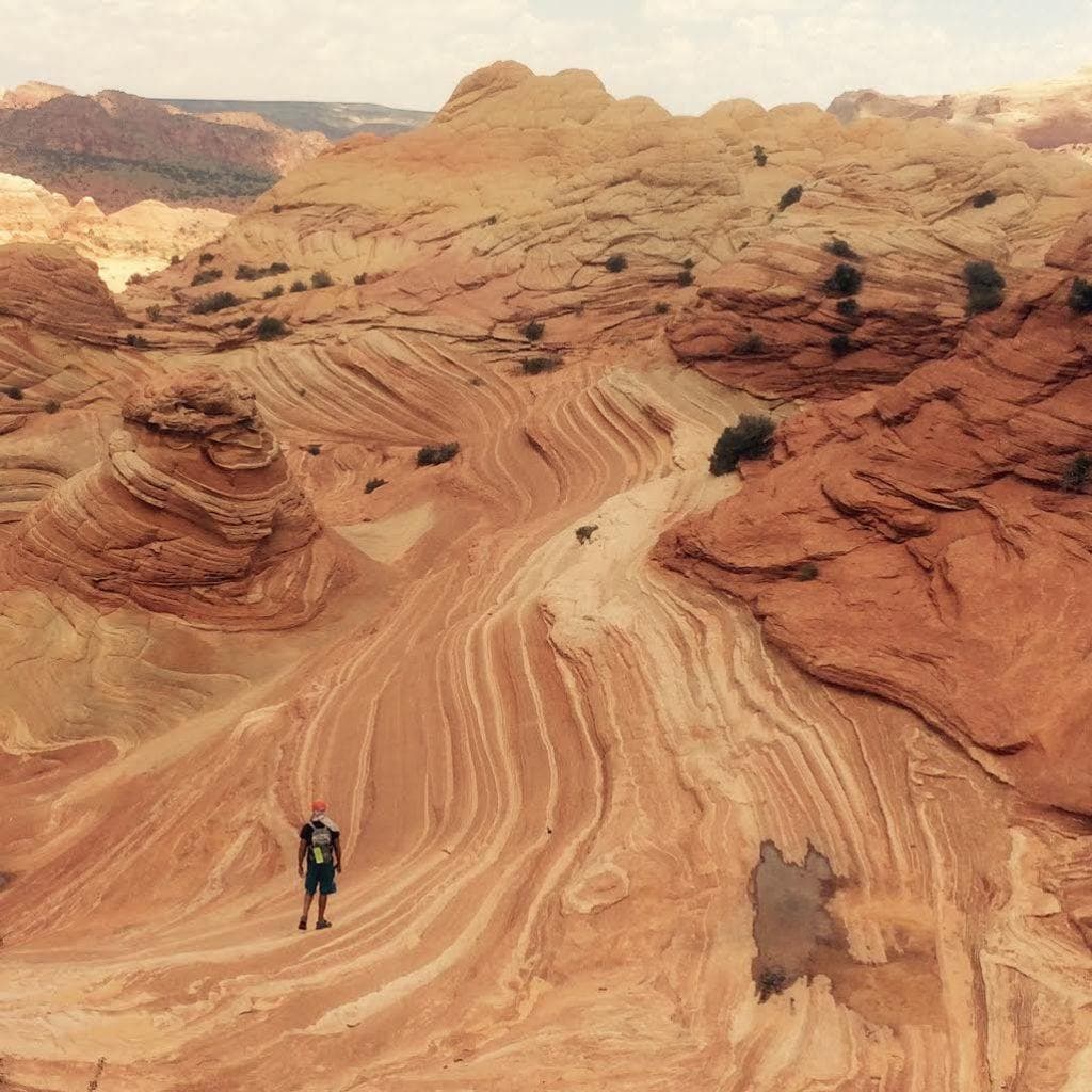 Hiking The Wave In Arizona: Everything You Need To Know – Bearfoot Theory