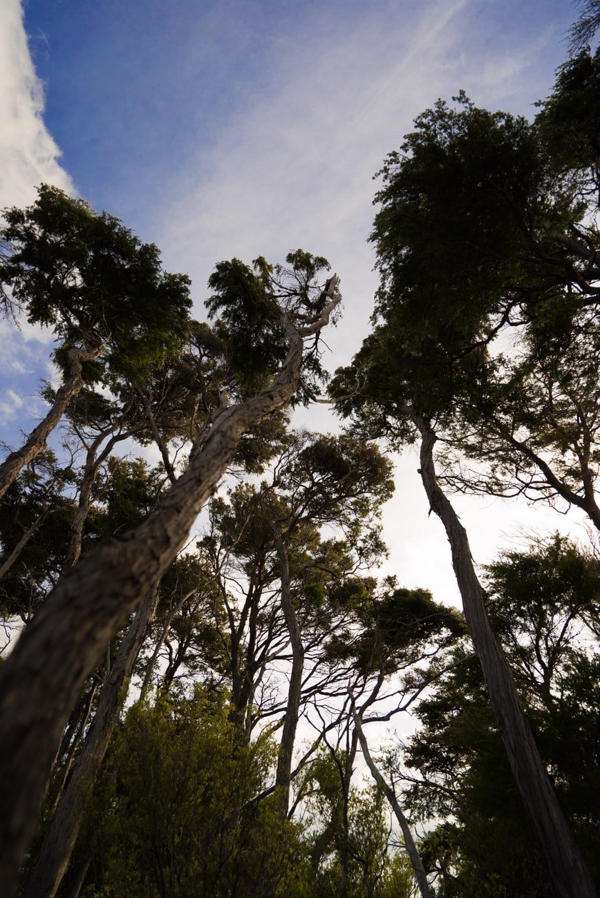 Hiking at Anchorage Bay in Abel Tasman National Park