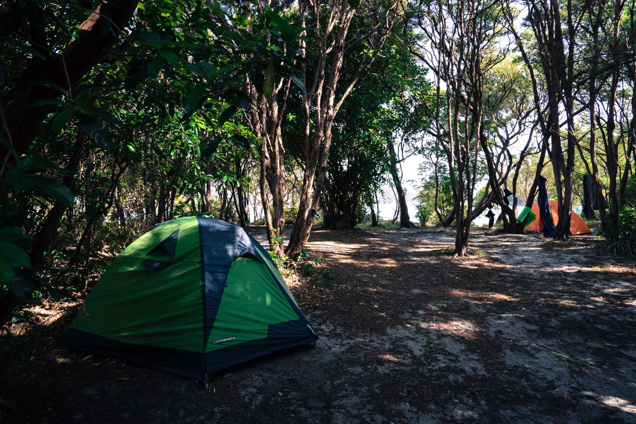 Camping at Anchorage Bay in Abel Tasman National Park