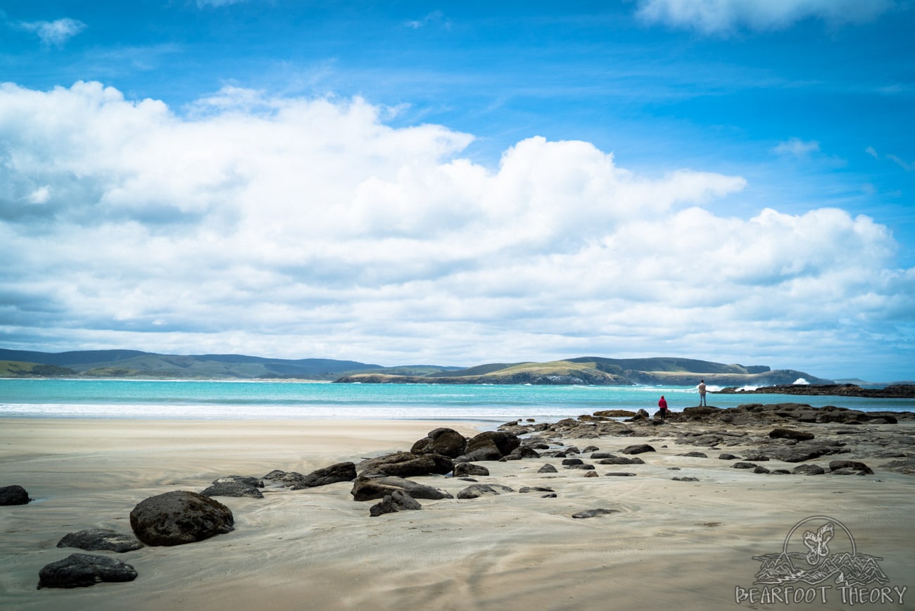 New Zealand Road Trip: Curio Bay in the Catlins