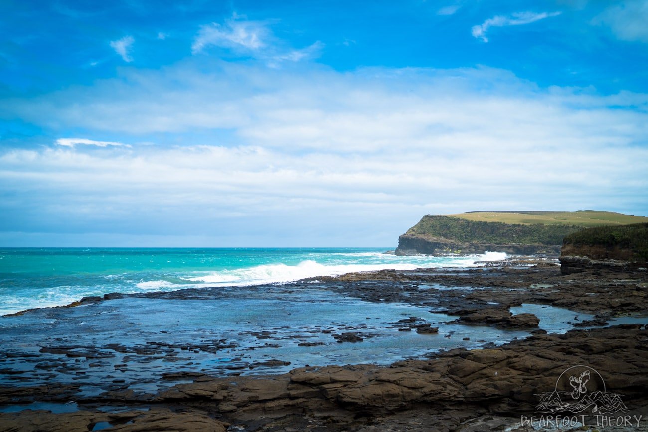 New Zealand Road Trip: Curio Bay in the Catlins