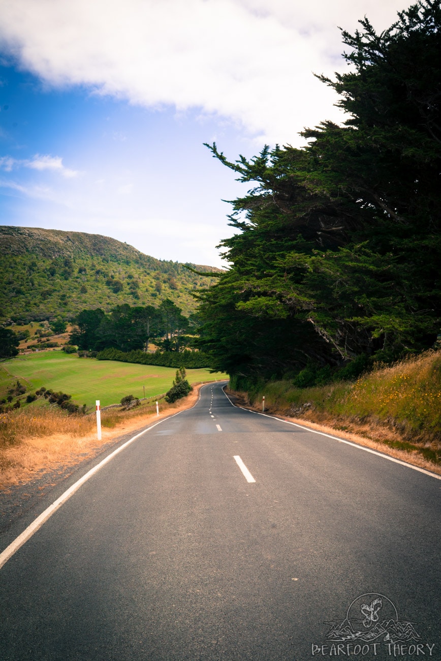 The road to Long Beach in Dunedin