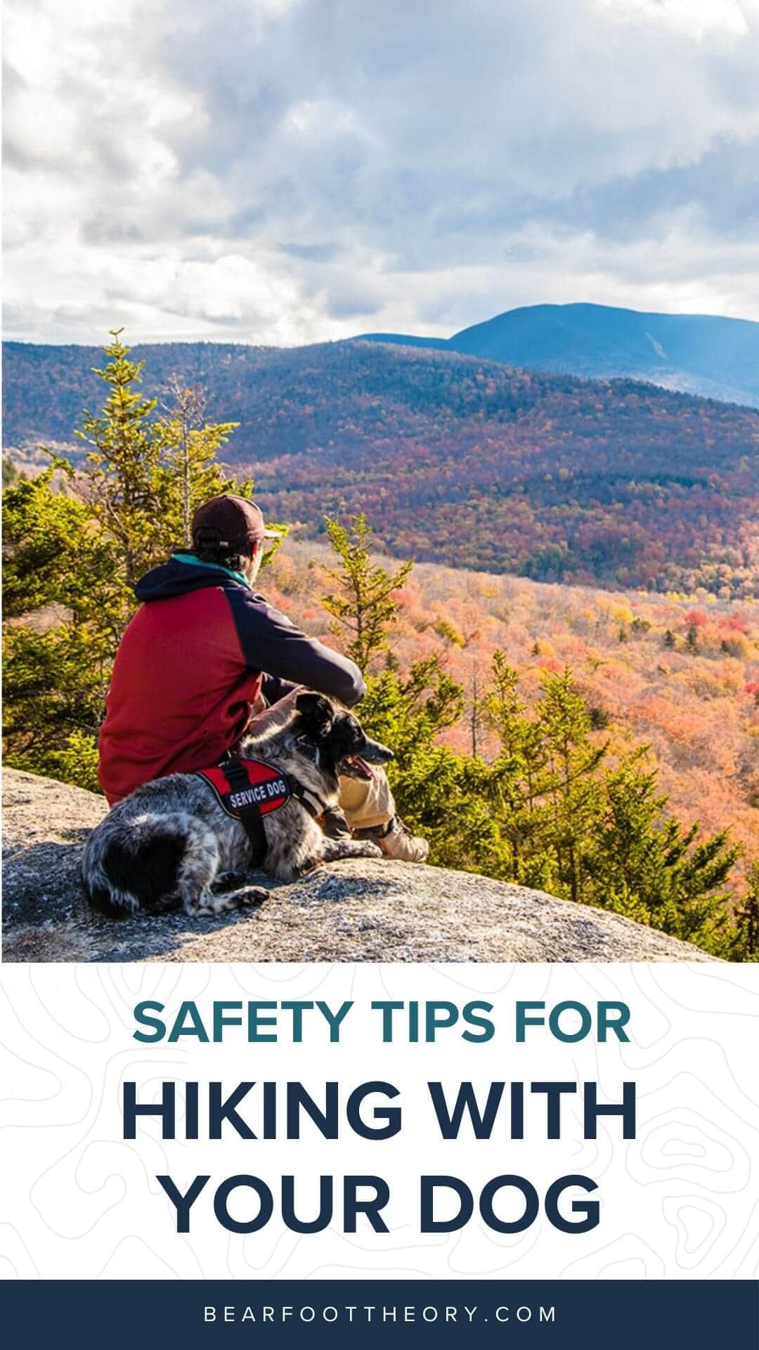 Learn the best safety tips for hiking with a dog so that you can make the most of your day on the trail with your furry friend.