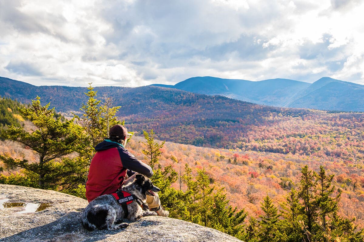 Learn the best safety tips for hiking with a dog so that you can make the most of your day on the trail with your furry friend.