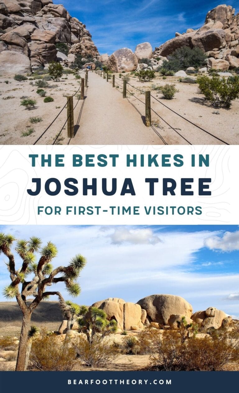 Best Joshua Tree Hikes for FirstTime Visitors