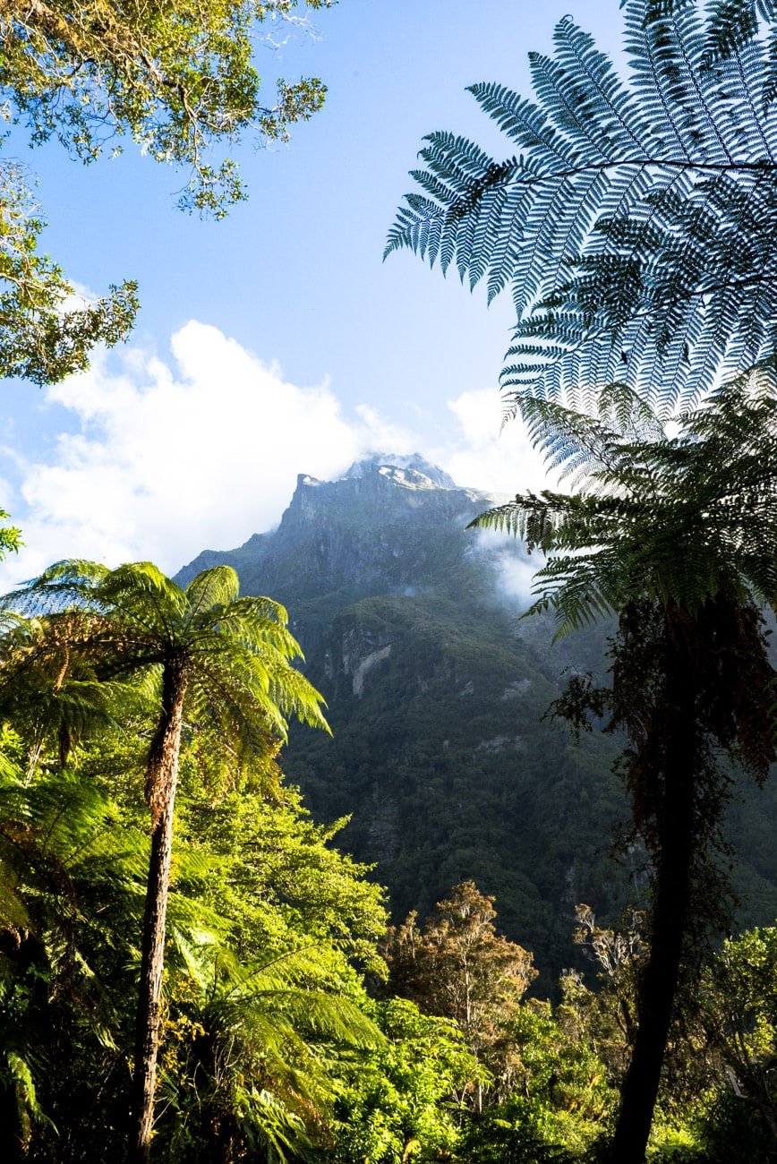 Hiking the Copeland Track on New Zealand's West Coast