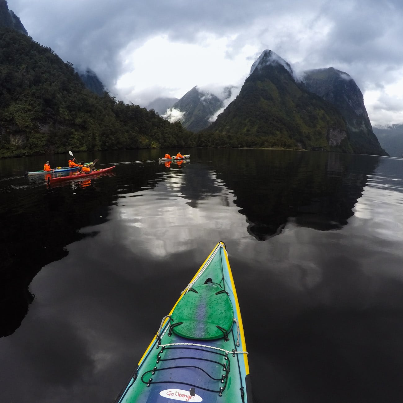 Kayaking on Doubtful Sound with Go Orange