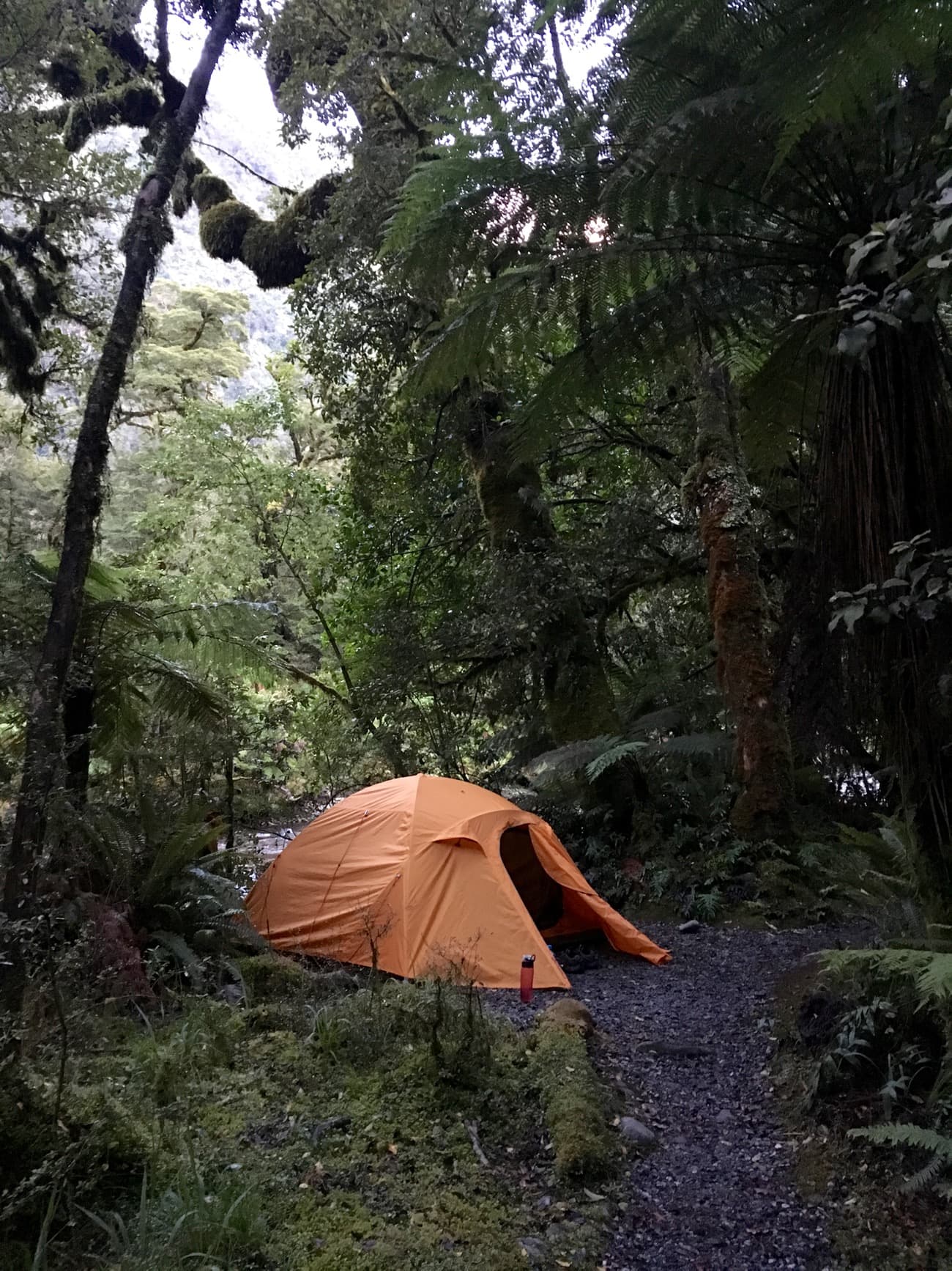 My campsite on my Doubtful Sound overnight kayaking trip with Go Orange. 