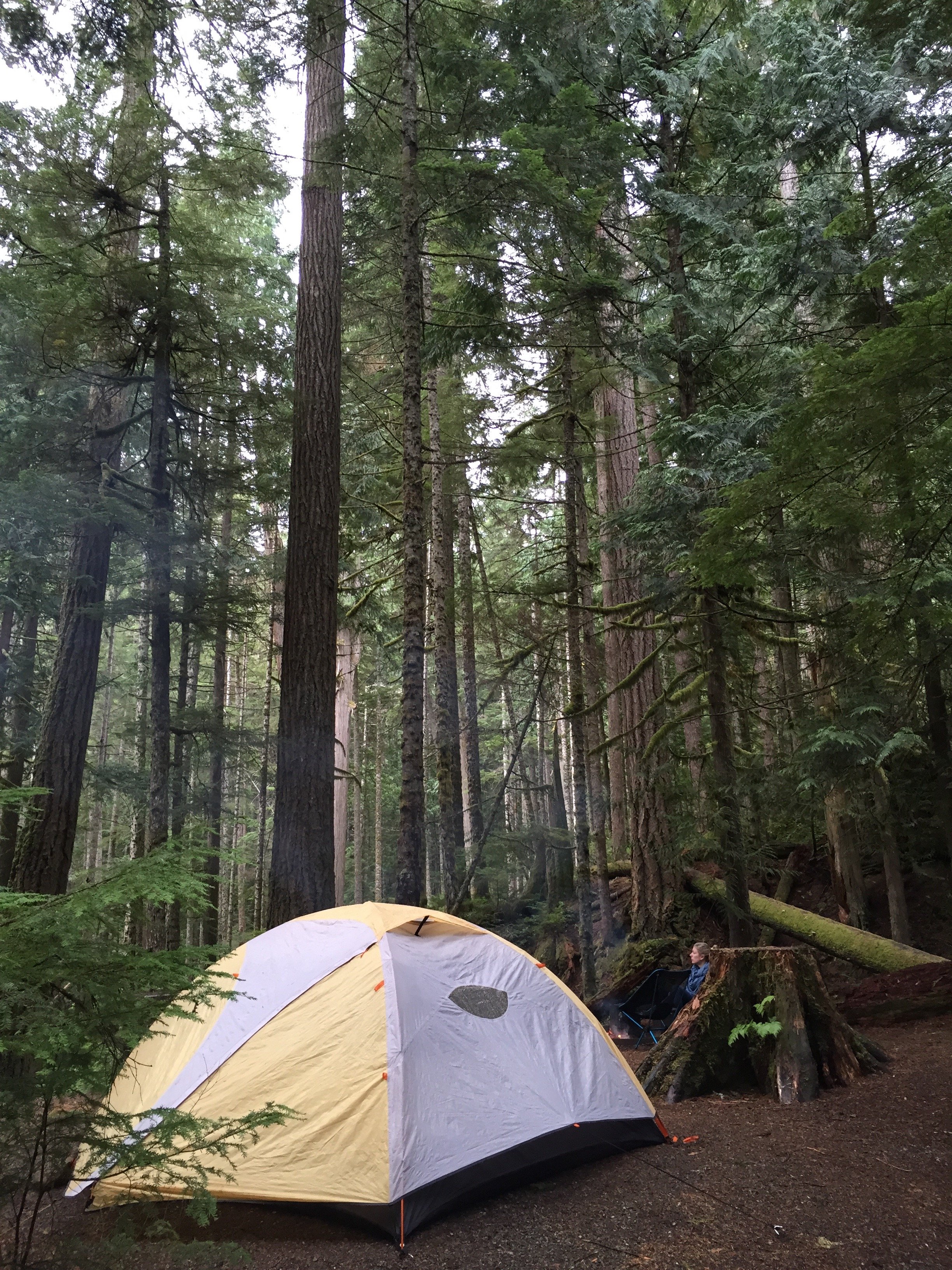 Heart O' The Hills Campsite - Learn about this and other campsites in Olympic National Park