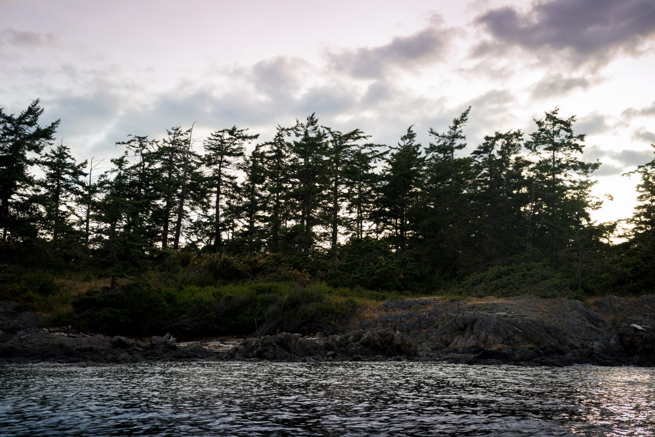 Sunset Kayak Tour with San Juan Kayak Expeditions in Friday Harbor