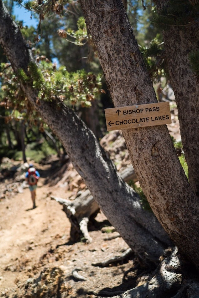 Trail sign on tree that points to Bishop Pass straight ahead and Chocolate Lake to the left