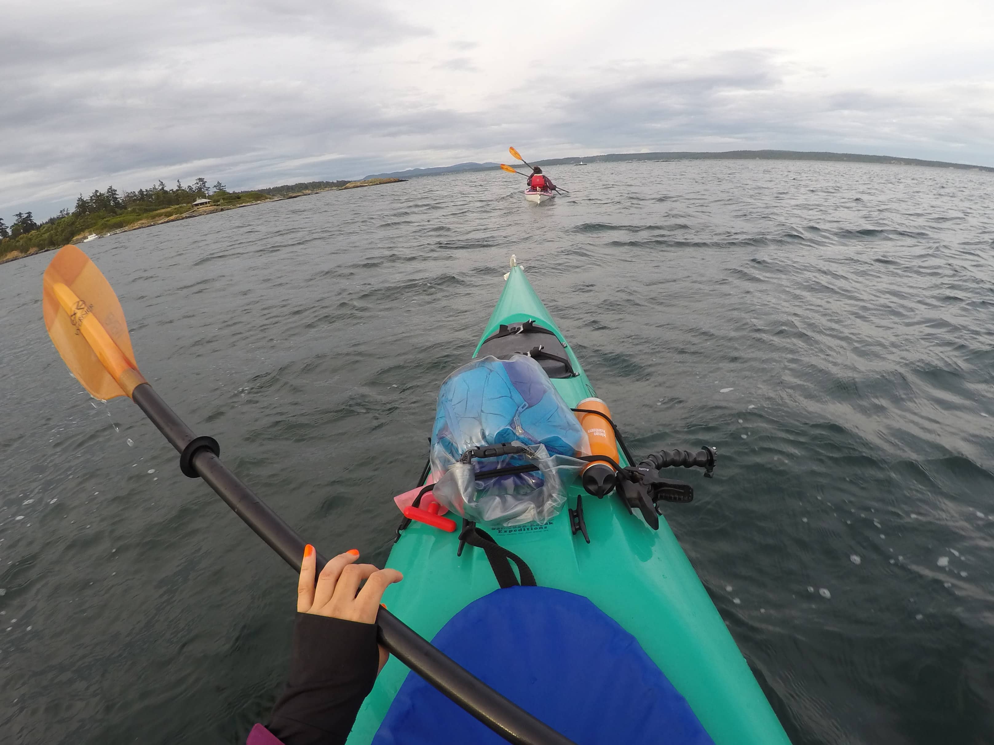 Kayaking Griffin Bay with San Juan Kayak Expeditions