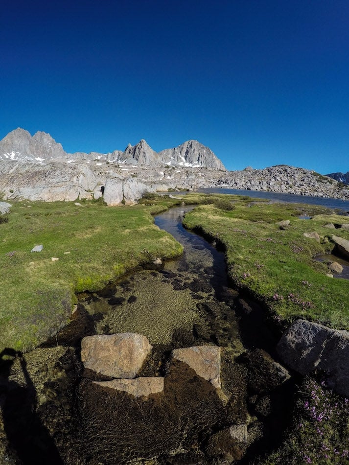 Mountain peaks above green meadow and stream in Dusy Basin in Kings Canyon National Park