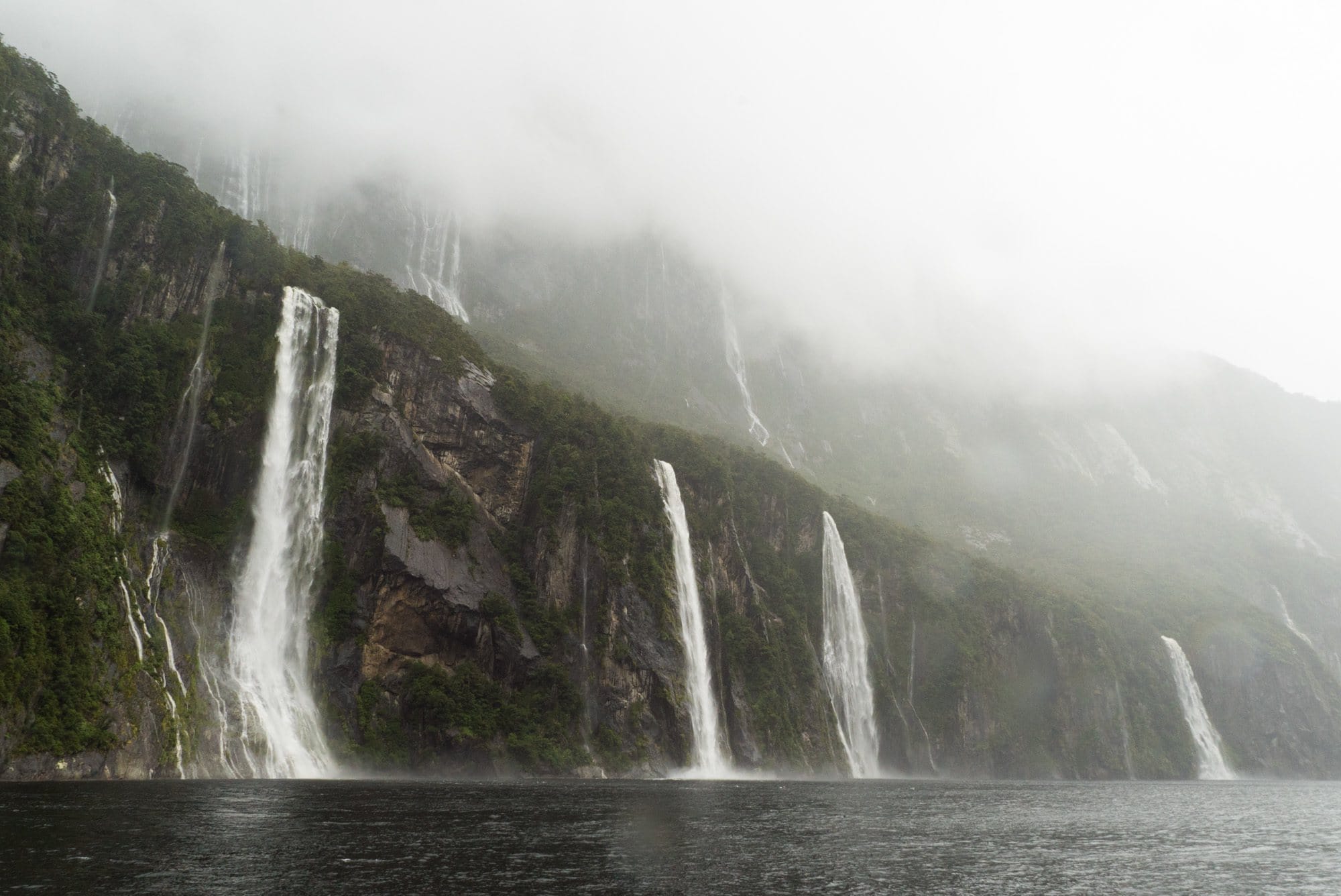 CRUISE MILFORD SOUND