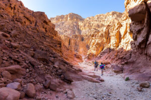 These desert backpacking tips will help you prepare for adventure from what gear to bring, where to go, and how to stay cool and safe.