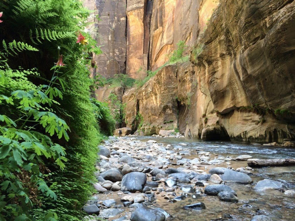 The Narrows // Plan your trip to Zion National Park with this travel guide complete with info on campgrounds, must-do trails, permits, park shuttle & more.