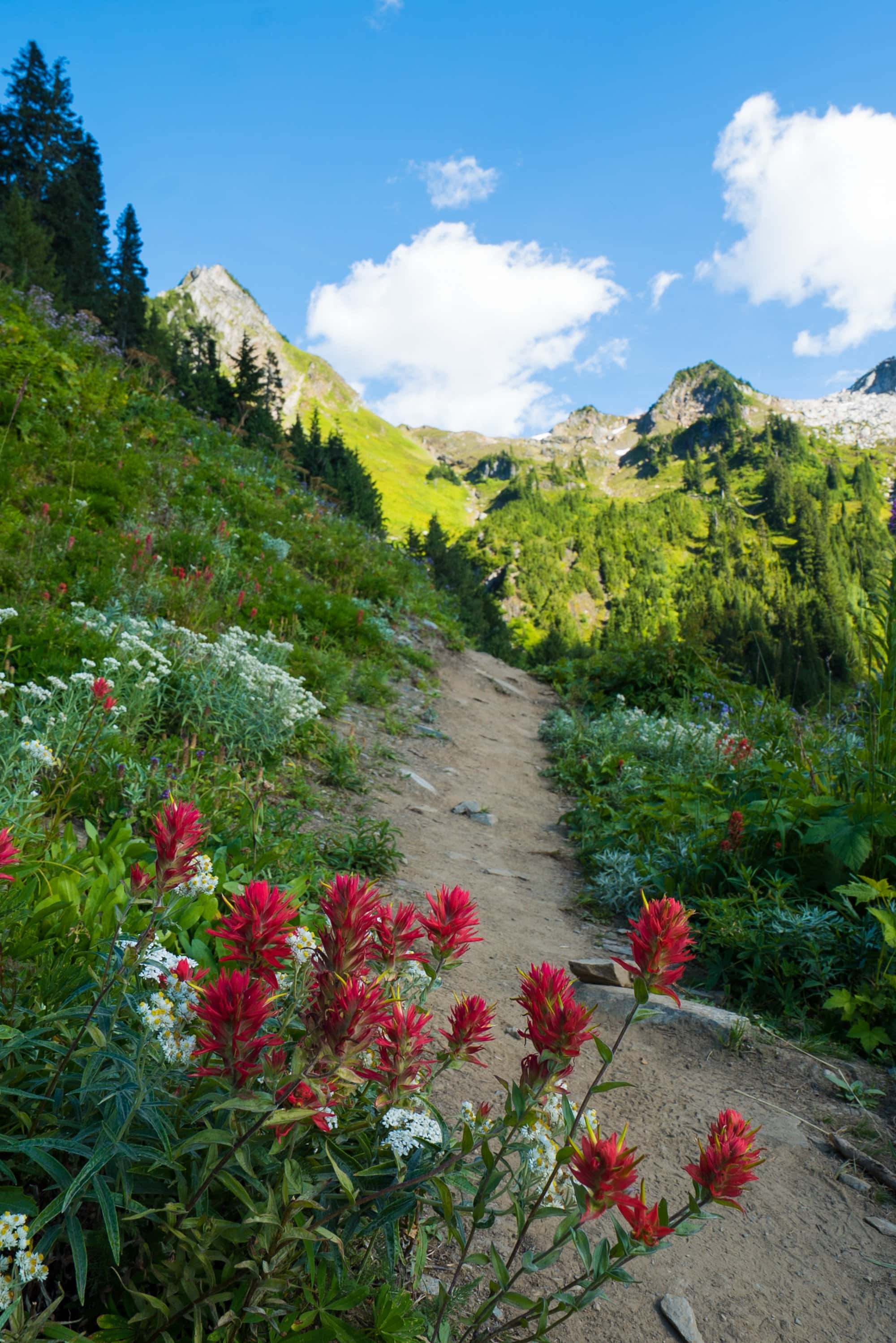 Hidden Lake Lookout is one of the best day-hikes / overnight backpacking trips in North Cascades National Park. Get our full trail guide & add this hike to your summer hiking bucketlist. 