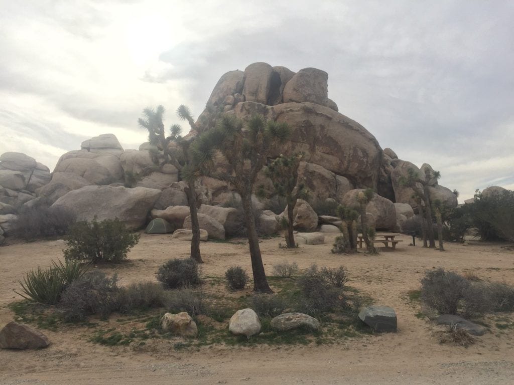 Joshua Tree Backpacking The California Hiking & Riding Trail