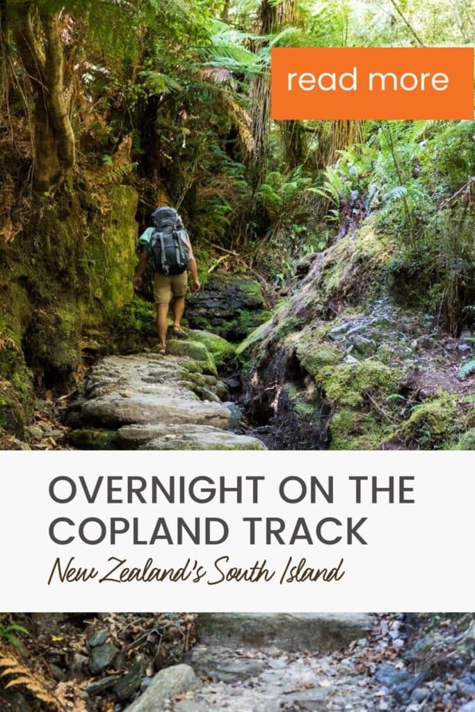 Backpacker hiking up rugged trail next to stream surrounded by lush vegetation. Text says "Overnight on the Copland Track, New Zealand's South Island"