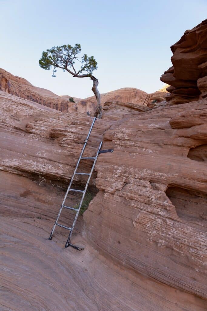 Ladder leading up to top of red sandstone formation on the Corona Arch trail 