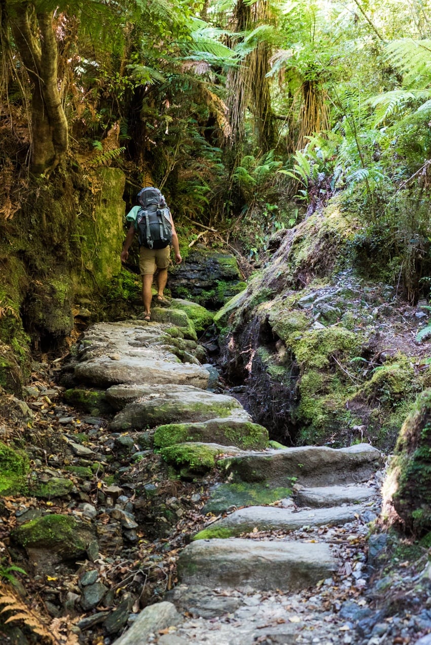 The Copland Track on New Zealand's South Island is an incredible overnight backpacking trek with dense forest, glacier rivers, alpine views, and HOT SPRINGS! See the pics and learn how to plan this must-do trek with this backpacking guide!