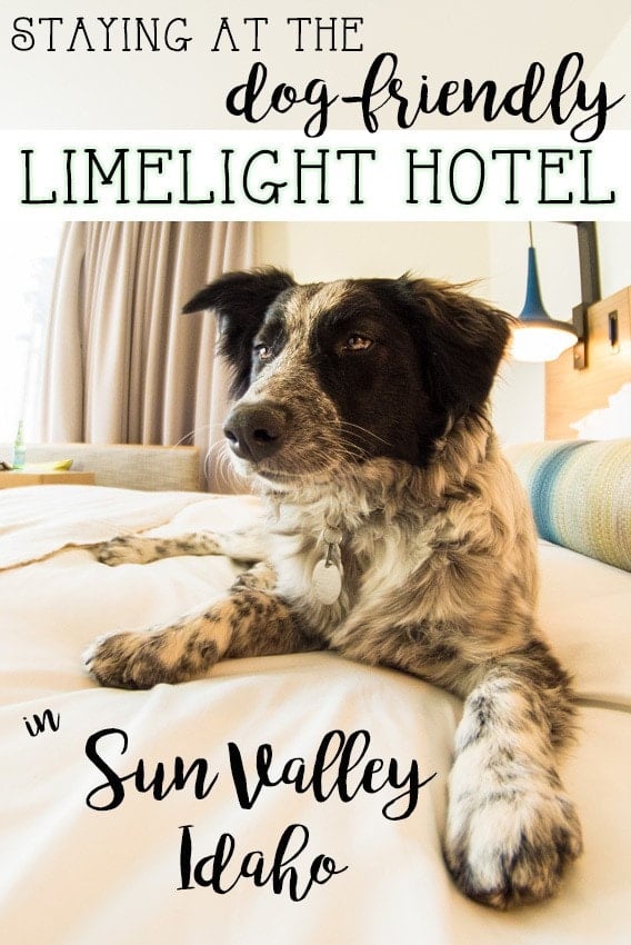 Our Favorite Drop-in Yoga Classes in Sun Valley - The Limelight Hotel