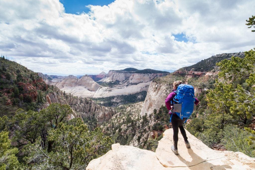 Plan your Zion West Rim Trail backpacking trip with this detailed guide that includes info on permits, campsites, gear, and more.